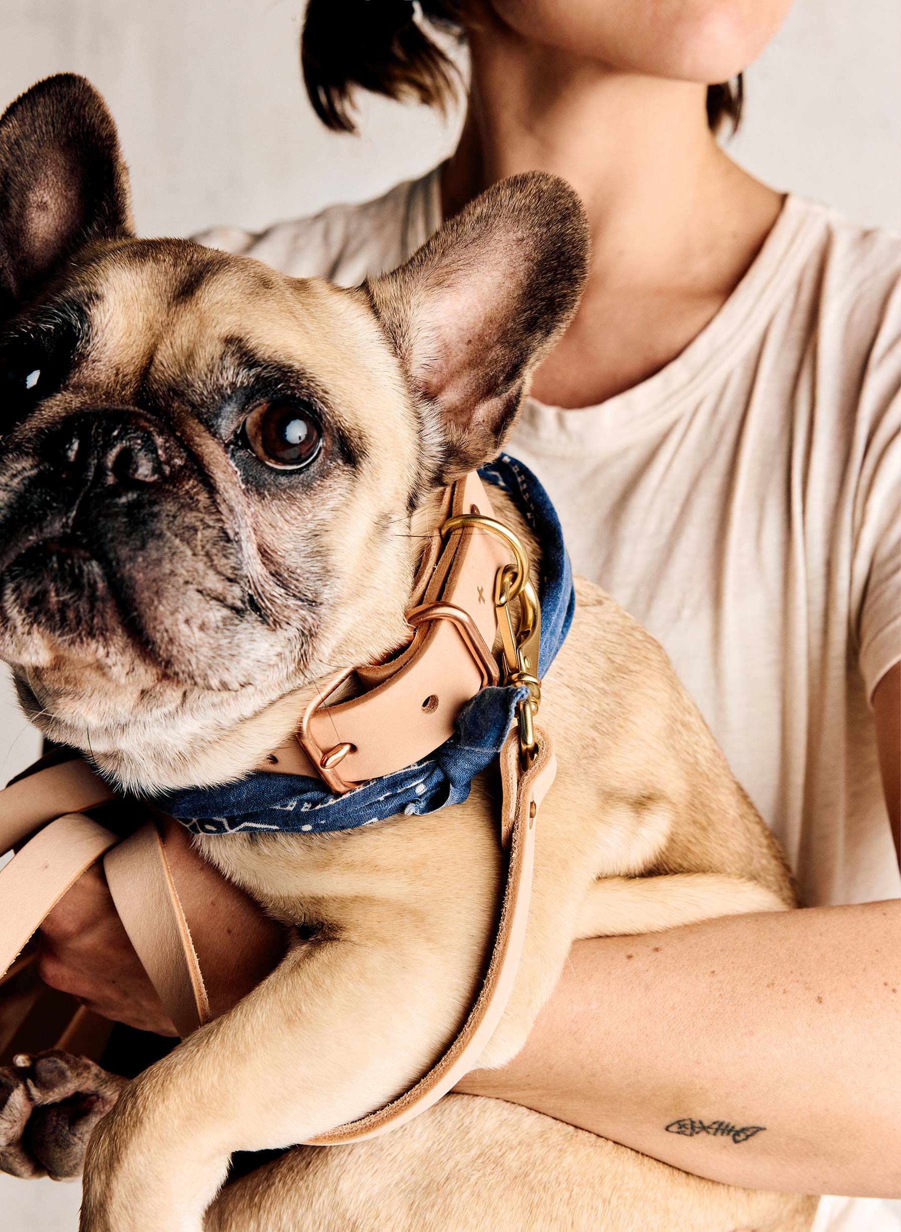 emil erwin x i+w dog leash - Image 11