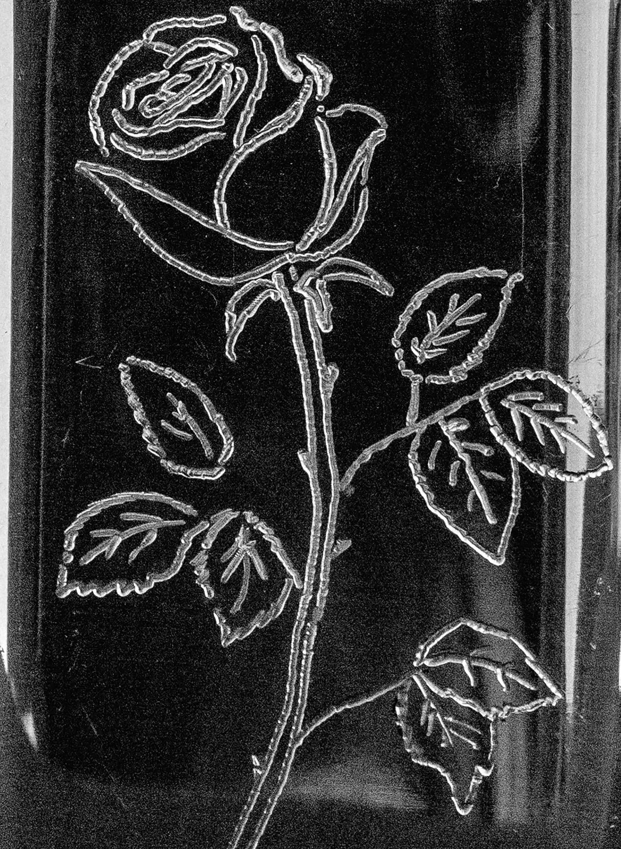 hand engraved "smell the roses" flask - Image 8