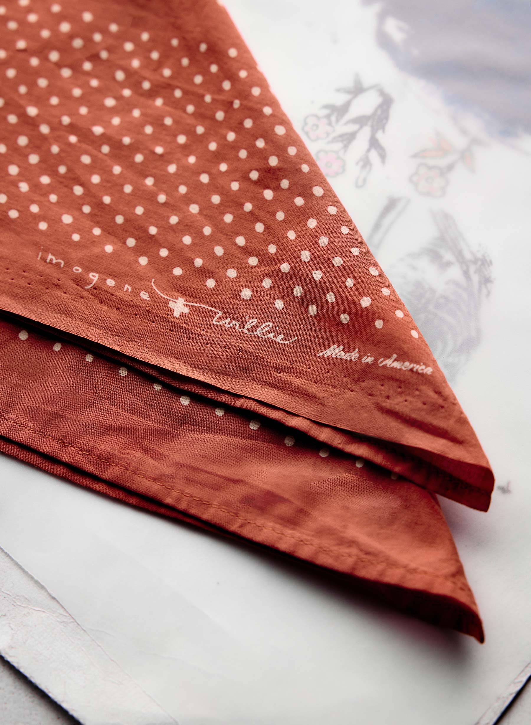 i+w vintage orange bandana - Image 2