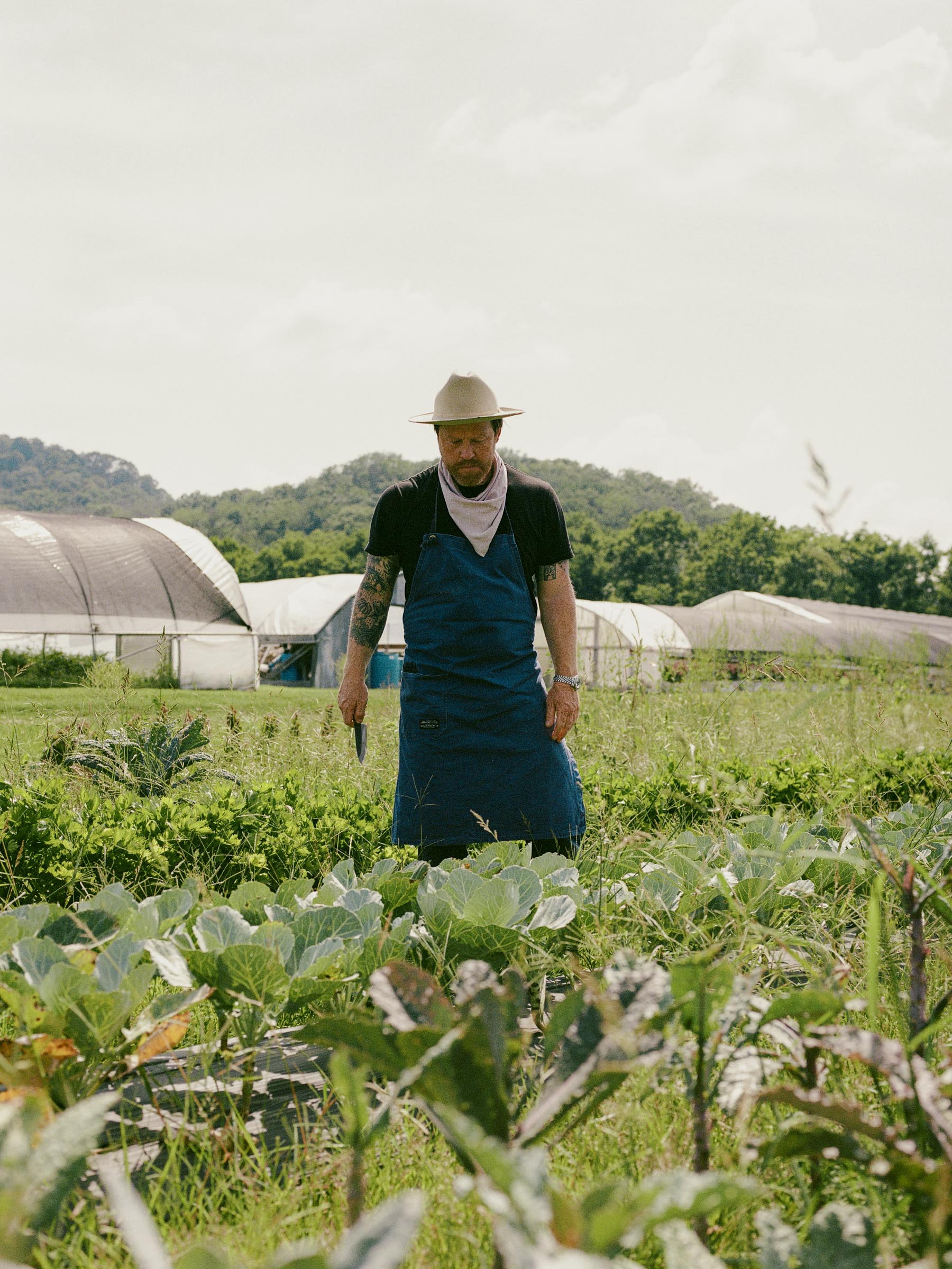 the "cascabel" canvas apron - Image 4