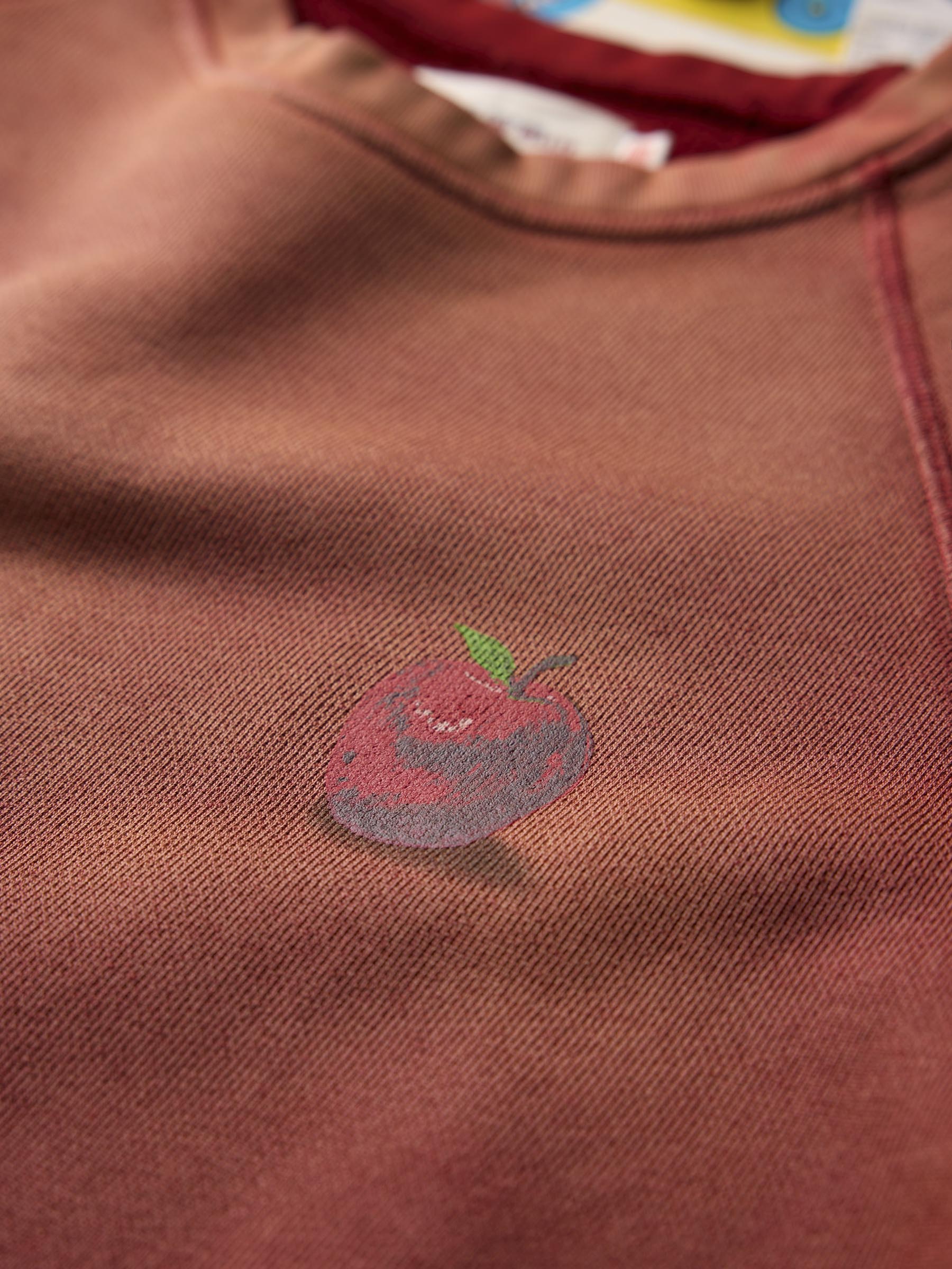 the "forbidden fruit" raglan crew - Image 6